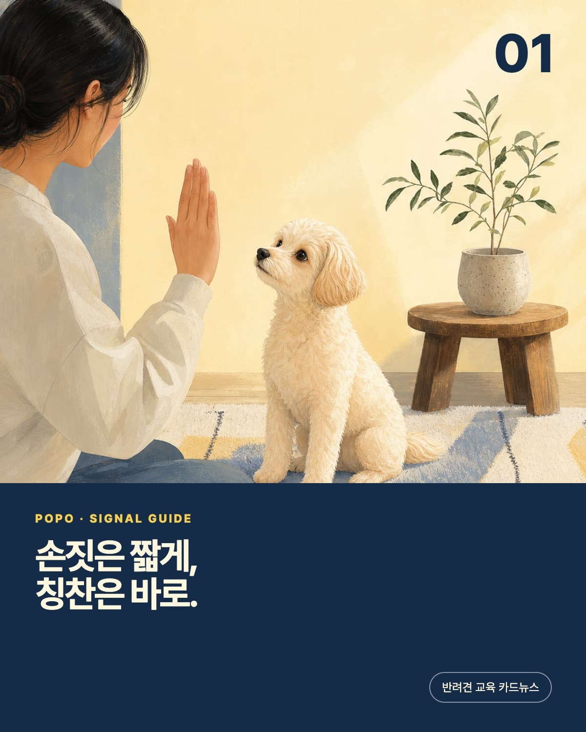 따뜻한 일러스트와 색면을 사용한 반려견 교육 카드뉴스