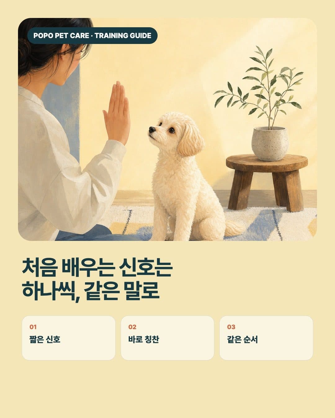보호자와 반려견의 손 신호 장면 아래에 교육 순서를 배치한 배너